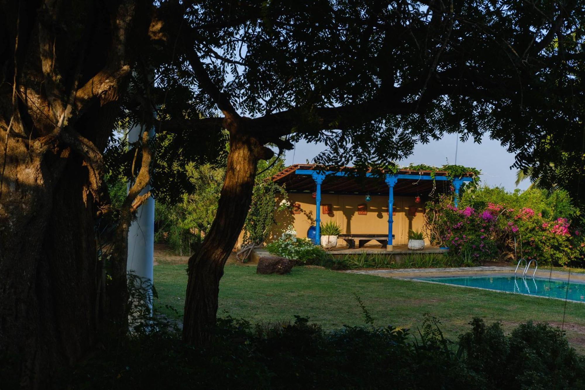 Bed and Breakfast Treasure Rock à Kirinda  Extérieur photo